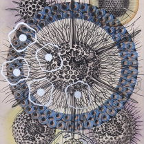 Radiolaria #5, 2007; Inkjet, screenprint, painting; Image: 20 x 13 inches