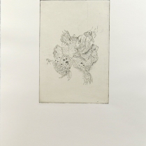 Ryan Cronk; Alaya/Consequences and Foraging, 2012; Intaglio, etching, chine colle; Image: 226 mm x 152 mm