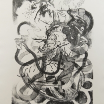 Ryan Cronk; Fruit Fly Conspiracy, 2009; Lithograph; Image: 445 mm x 297 mm
